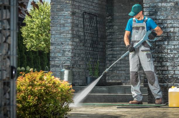 Best Graffiti Removal  in Pinewood, FL